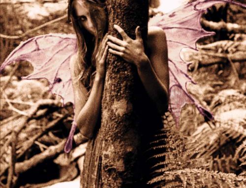 The Mystical Realm 5